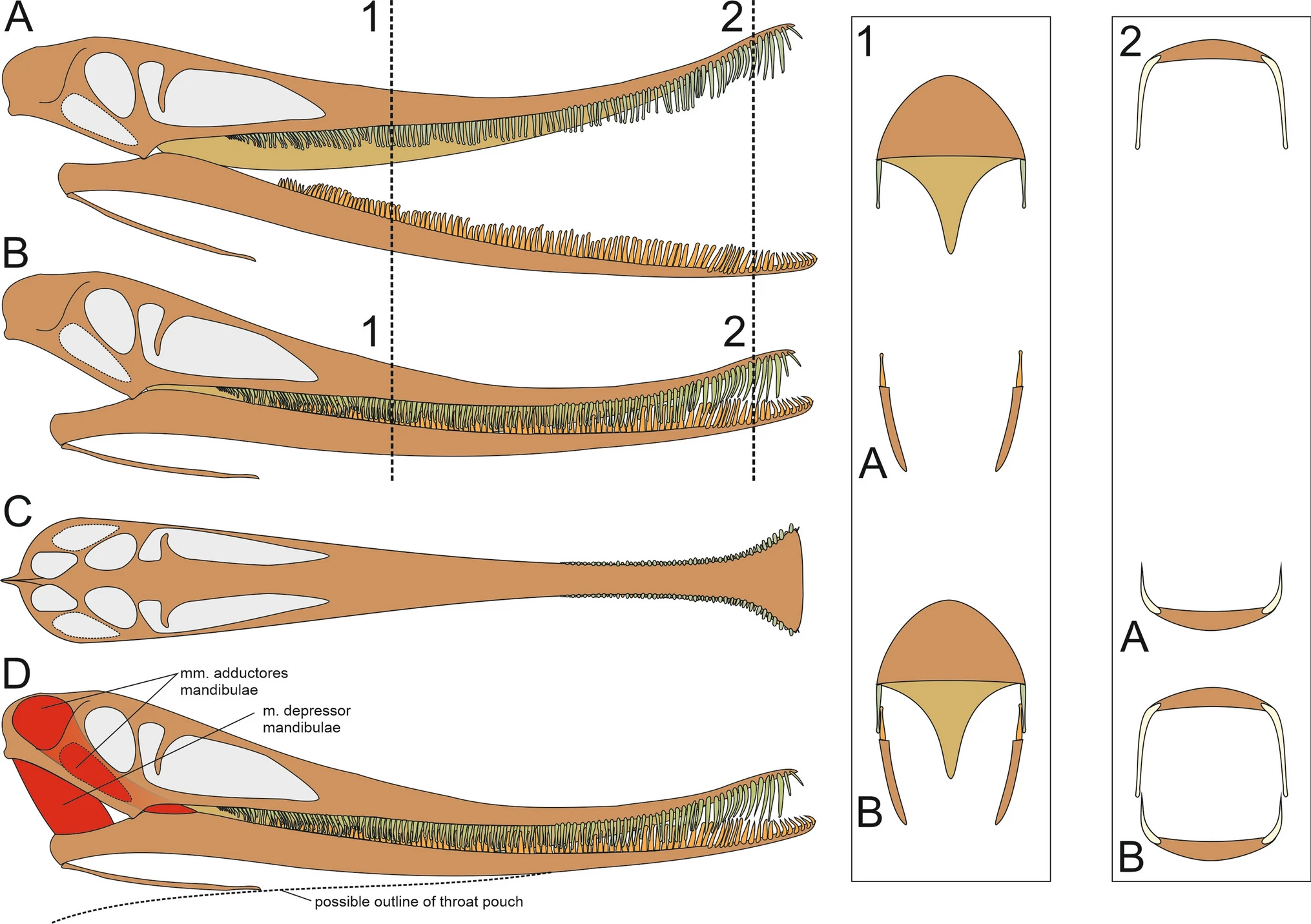 12542_2022_644_Fig17_HTML