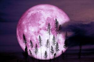 Strawberry Moon- Full Moon & Supermoon: