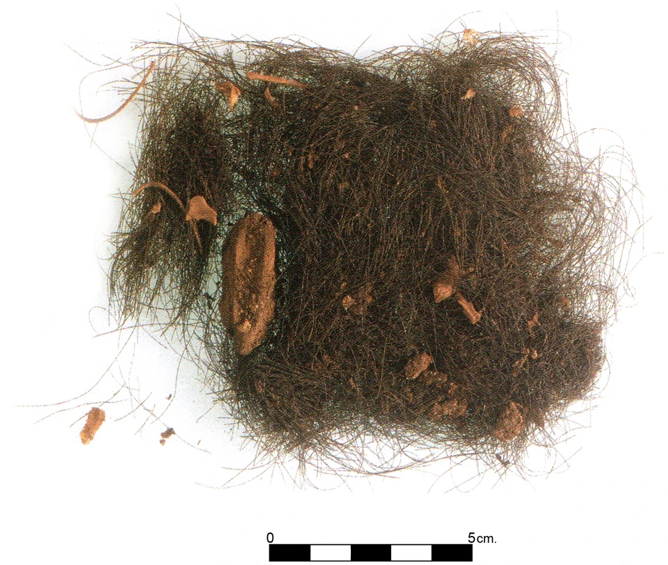 The first evidence of ancient Europeans' drug use