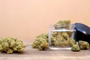 Marijuana in Open Jar Surrounded by Buds (Green Crack, Sativa Dominant Hybrid Straint)