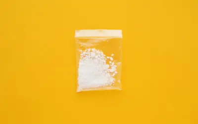 One unusual new argument: Says parental substance use does not automatically lead to the painful abuse of offspring