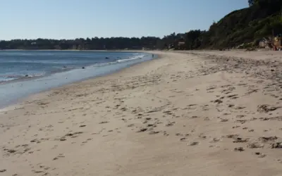 Surprising former MGM exec who blocked access to one hidden beach; Now public reclaims access for first time in